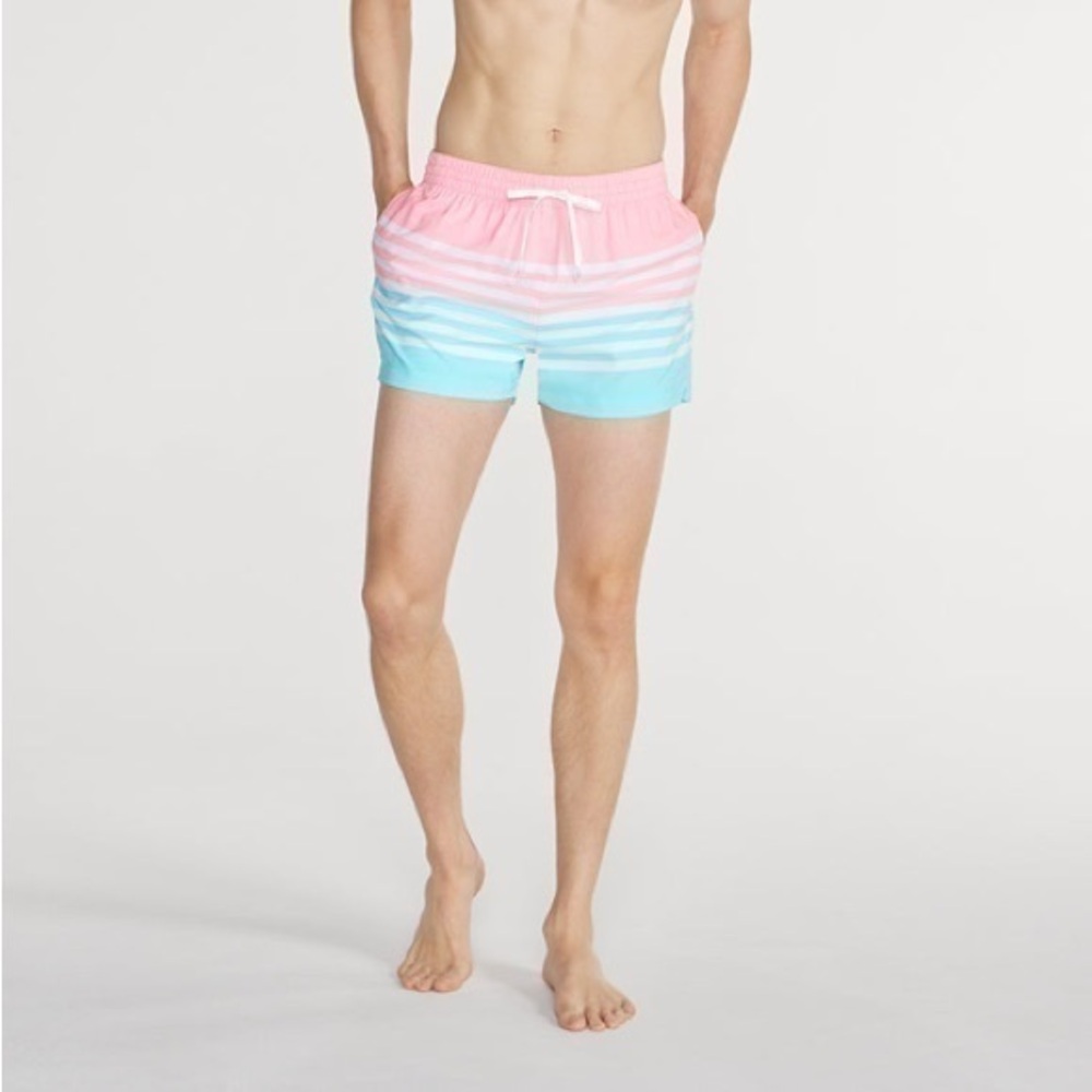 Chubbies On The Beach Horizons Classic Swim Trunks XXL